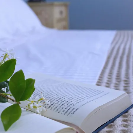 Holiday home Amaryllis House Lefkada City